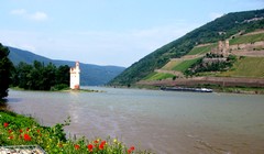 Balade en car sur les bord de Rhin