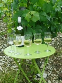 Degustation_au_coeur_des_vignes-Chablis.jpg