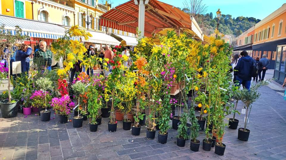 Carnaval de Nice & Fête du Citron à Menton
