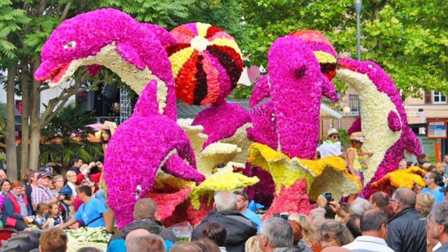 Fête des Dahlias à Sélestat
