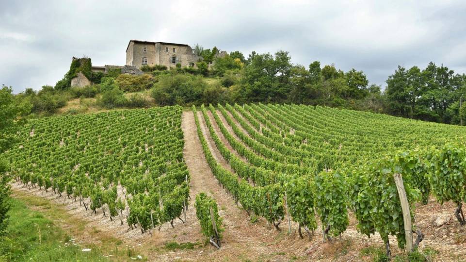 Evasion en Bugey-Cerdon