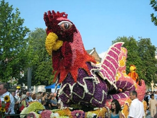 Journée fête des Dahlias à Sélestat en autocar