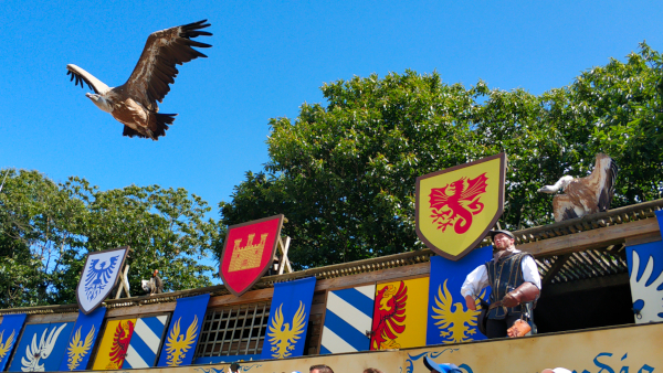 Séjour Puy du Fou au départ de Dijon